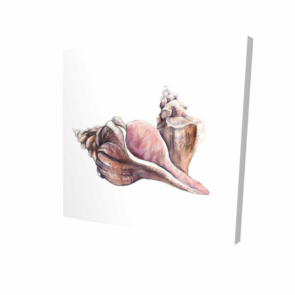 Fondo 16 x 16 in. Horse Conch Seashells-Print on Canvas FO2774468